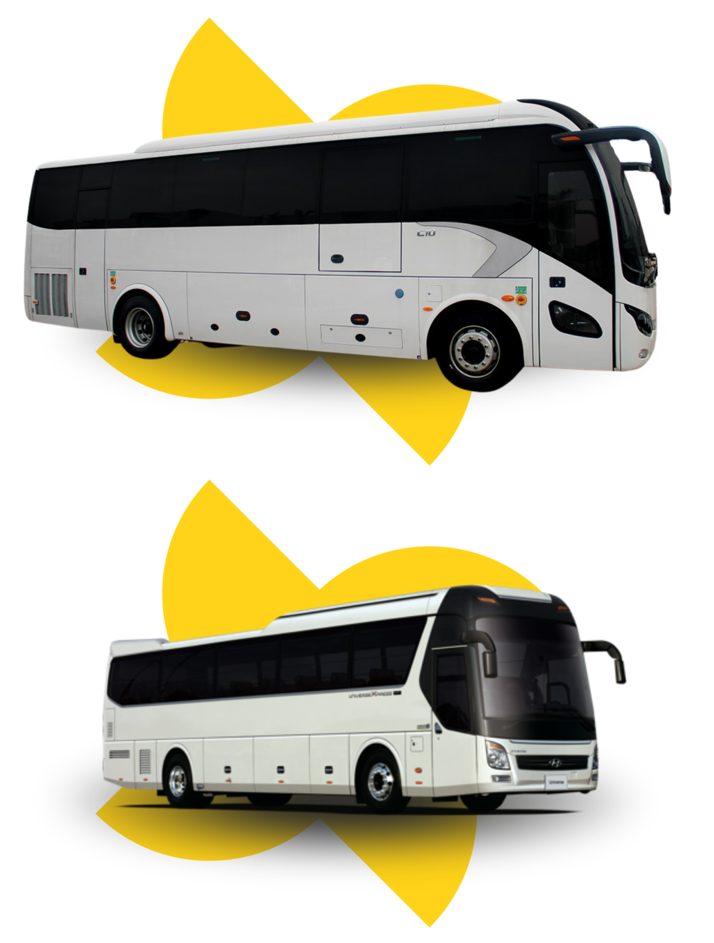Autobús Ejecutivo Masivo