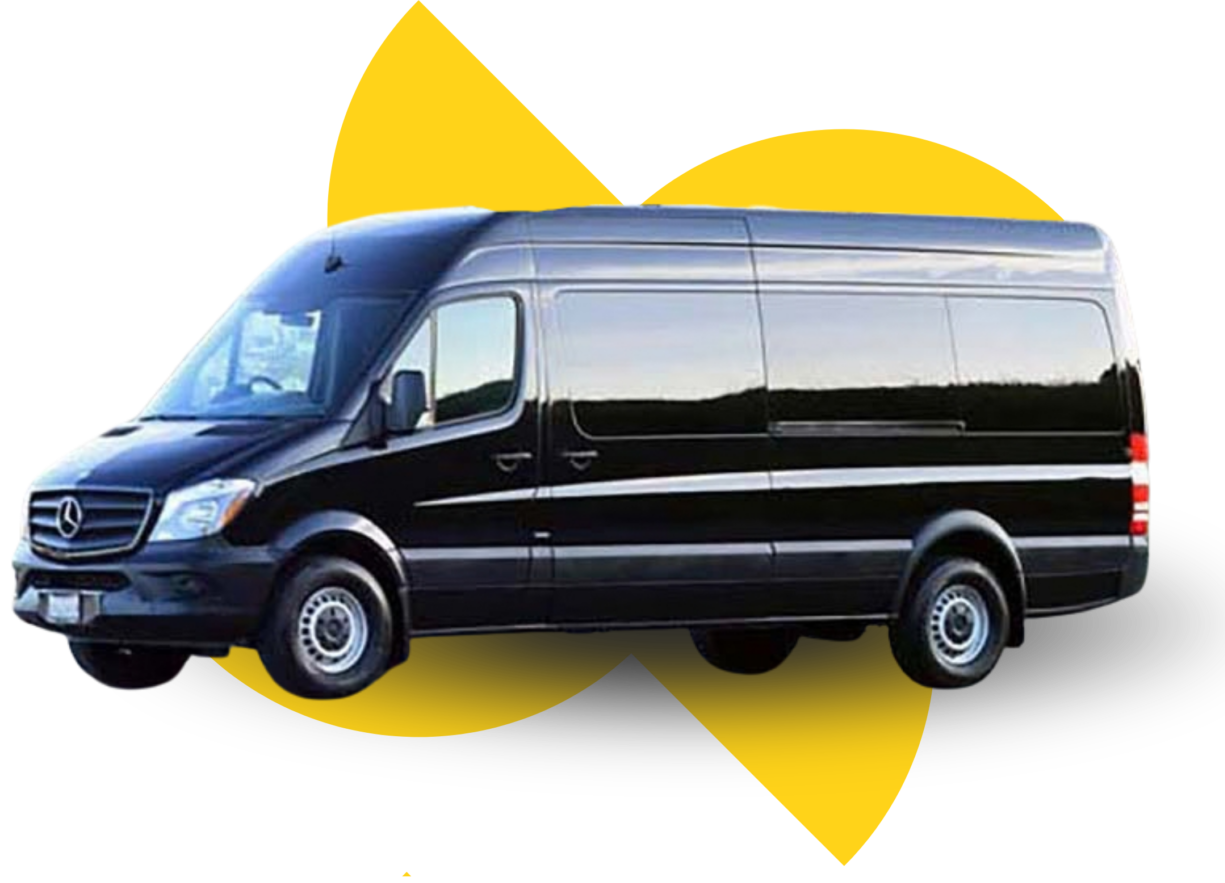 Van VIP Sprinter